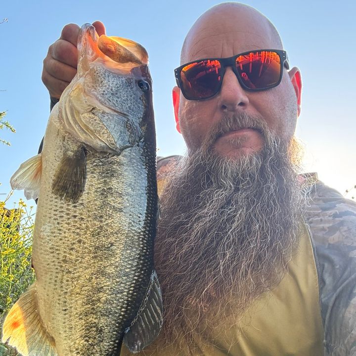 Profile Picture of David Warner (@davidwarner41) on Tiktok