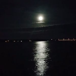 Profile Picture of Joseph Stuckey30 (@@josephstuckey3) on Tiktok