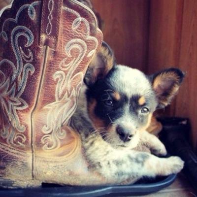 Profile Picture of Ciara Morgan (@ciara_selena) on Twitter