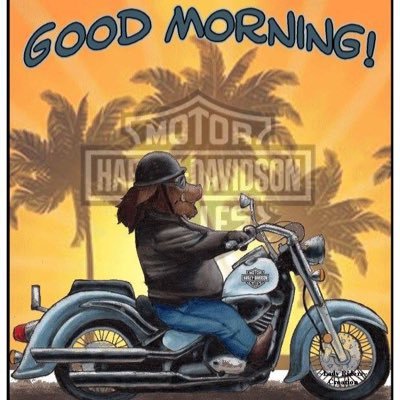 Profile Picture of Cal (@caswell_cal) on Twitter