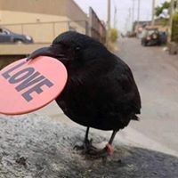 Profile Picture of Lisa N Lenny Roberts (@lisa-n-lenny-roberts) on Quora