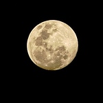 Profile Picture of Ayun Budhiwati (@budhiwati) on Flickr