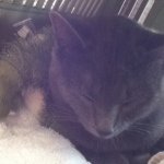 Profile Picture of Olivia Evers Atj Dancer (@atjdancer1014) on Instagram