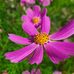 Profile Picture of Bozena Adamczyk (@bozena.adamczyk.9277) on Facebook