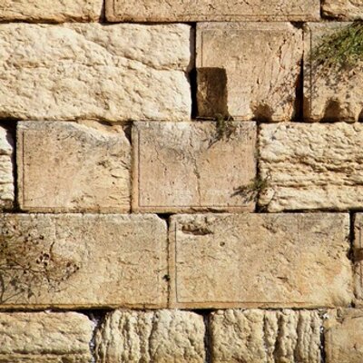 Ruth Schaffer - Twitter Profile Picture of Ruth Schaffer (@ruthschaffer) on Twitter