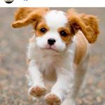 Profile Picture of Amy (@dowdamy8) on Instagram