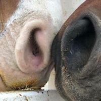 Christy Hutton - Quora Profile Picture of Christy Hutton (@christy-hutton) on Quora