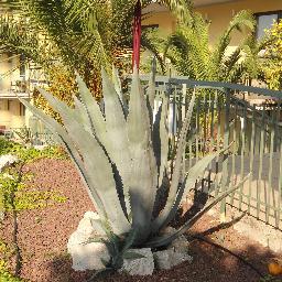 Profile Picture of Sonja Marx (@Frau_Ich) on Twitter