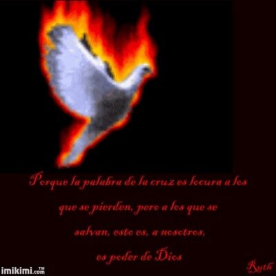 Profile Picture of Manuel Irizarry Ramo (@IrizarryRamos) on Twitter