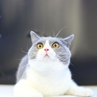 Profile Picture of Uncle Woo (@WuJunlin0405) on Twitter