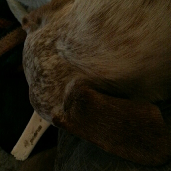 Profile Picture of Shirley Follbaum (@shirl59) on Poshmark