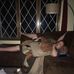 Profile Picture of Benjamin Kreger (@Benjamin-Kreger) on Facebook