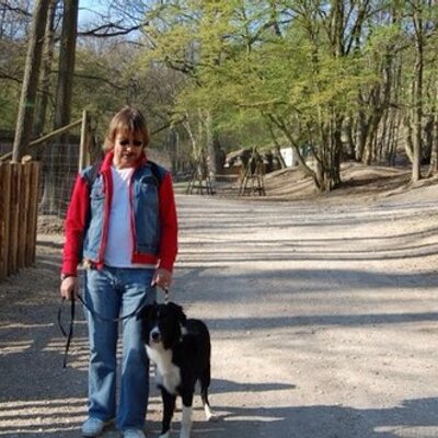 Profile Picture of Robert Leitner (@LeitnerRam) on Twitter