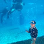 Kyle Holam - Facebook Profile Picture of Kyle Holam (@Kyle-Holam) on Facebook