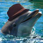 Profile Picture of Steve Tasker (@mittens_montgomeri) on Instagram