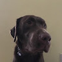 Profile Picture of Michael Lefebvre (@michael-lefebvre-39) on Quora