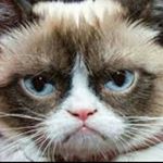 Profile Picture of Dylan Judd (@dylantheoaklandraider) on Instagram