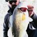 Profile Picture of Joseph Pedlowe (@Joseph-Pedlowe) on Facebook