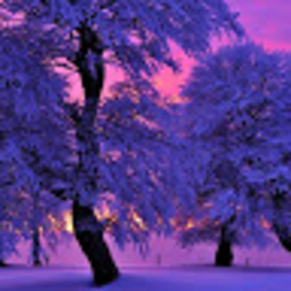 Profile Picture of Ryann Lambert (@ryannlambert949) on Poshmark