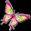 Profile Picture of Lokesh kumar meena (@Lokesh kumar meena) on Flickr