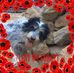 Profile Picture of Steve Berndt (@steve.berndt.52) on Facebook