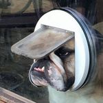 Profile Picture of Michael di Meglio (@dimegliomichael) on Instagram