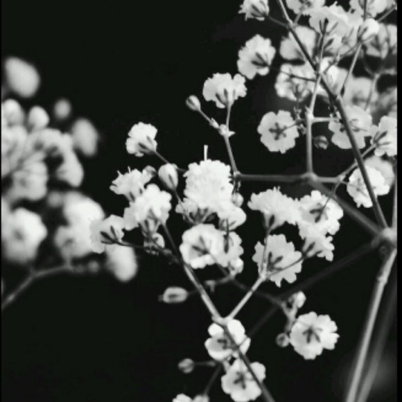 Alyssa Keck - Poshmark Profile Picture of Alyssa Keck (@pastelsofty) on Poshmark