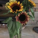 Profile Picture of Kris McClure (@themommcclure) on Instagram