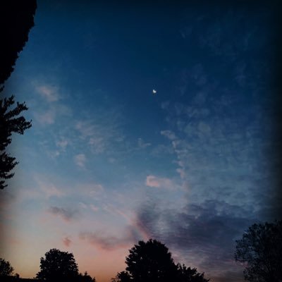 Profile Picture of Thad Packrit 🅘 (@BlertMcGirt) on Twitter