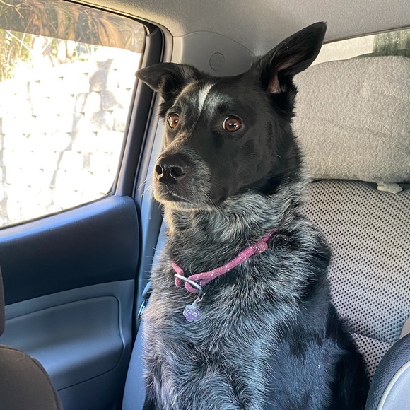 Profile Picture of Paul Garay (@paul_garay) on Poshmark