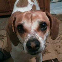 Profile Picture of Deanna Magenheimer (@deanna-magenheimer) on Quora