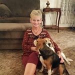 Profile Picture of Jeanne Pittard Fuller (@bassettmom823) on Instagram