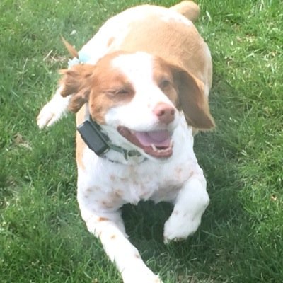 Profile Picture of Jared Dooley (@jared_dooley) on Twitter