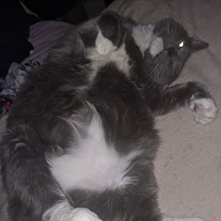 Profile Picture of Misti Mackey (@@mistimackey) on Tiktok