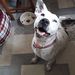 Profile Picture of Kim Bugler (@bugler0972) on Pinterest
