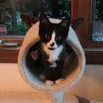 Profile Picture of Tj Erdlen (@tjerdlen) on Instagram