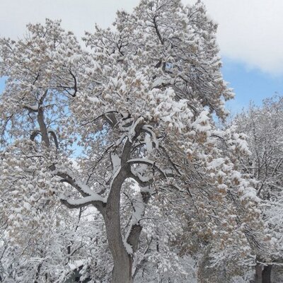 Profile Picture of Chris Wrobel (@welnoan) on Twitter