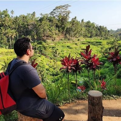 Profile Picture of Daniel Saez (@danielsaez95) on Twitter