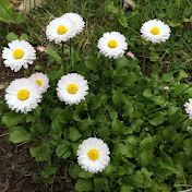 Profile Picture of Tony Costello (@CymbalsOnly) on Youtube