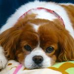 Profile Picture of Debbie Alexander (@debbie.b.alexander) on Instagram