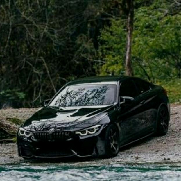 Profile Picture of كيكه😍😊 (@carolsingley) on Tiktok