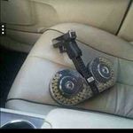 Profile Picture of Brian Stansbury (@bgboss.bs) on Instagram