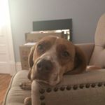 Profile Picture of Scott Runyon (@scotrun7) on Instagram