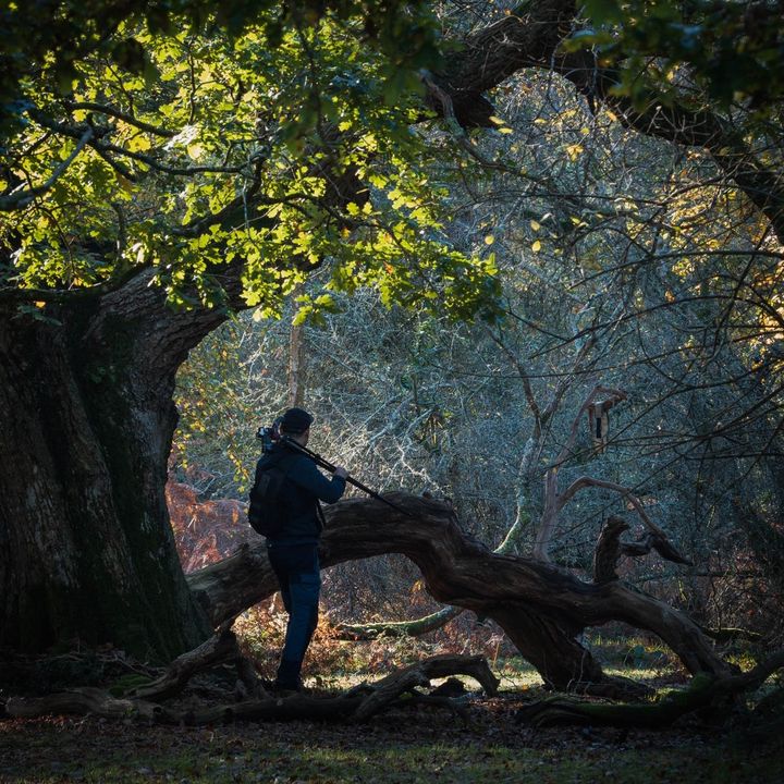 Profile Picture of ARIEL (@ariel_a_k) on Tiktok