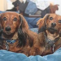 Profile Picture of Sherry Neff (@sherry-neff-1) on Quora