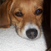 Profile Picture of Chris Viola (@chrisviola2501) on Youtube