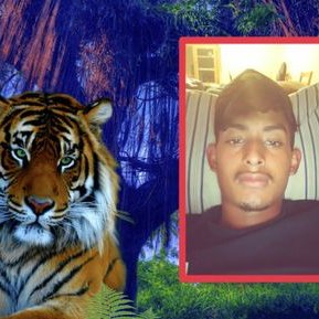 Profile Picture of Edin Daniel Gonzales (@EdinDanielGonz2) on Twitter