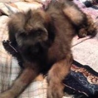 Profile Picture of Carol Barnes (@carol-barnes-1) on Quora