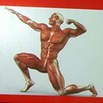 Profile Picture of Juan collado"personal trainer" (@metamorfosis_fisica_rd) on Instagram