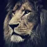 Profile Picture of Leon Lassauw (@leonlassauw5789) on Instagram